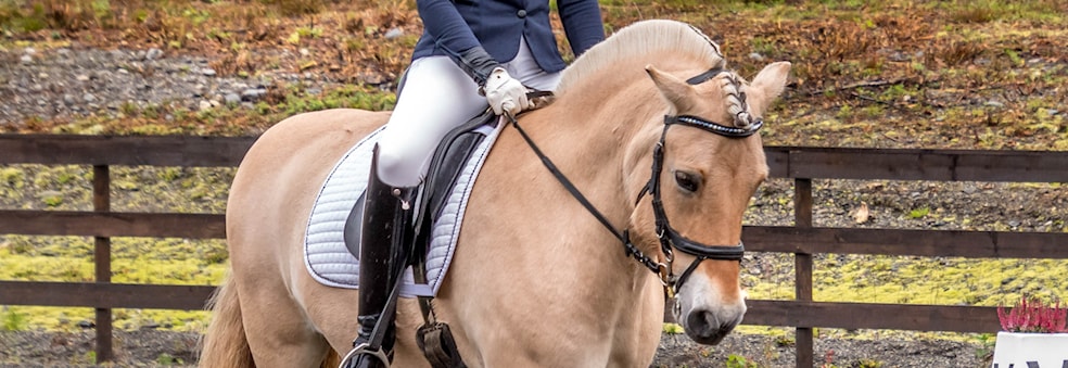 Rideprøve GRØNT KORT!
